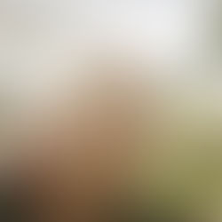 Pehiaweri Marae Māra Kai and Orchard