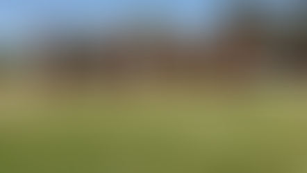 Bringing Love To Work