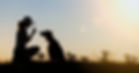 AdobeStock_118559965.jpeg
