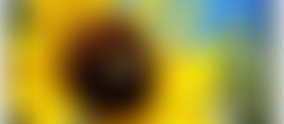 A Country Party Preview