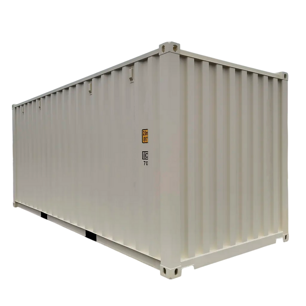 20'Foot New Container