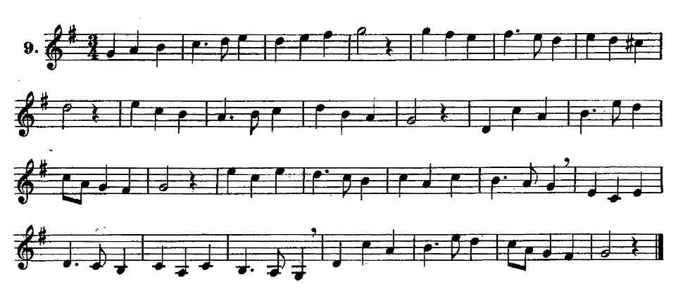 デムニッツテヌート3