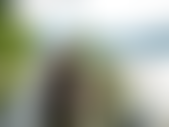 Les voyages en solo : une tendance touristique de plus en plus prisée