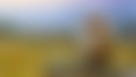 Tendances voyage 2026