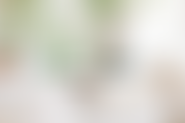 L'écoresponsabilité en location courte durée