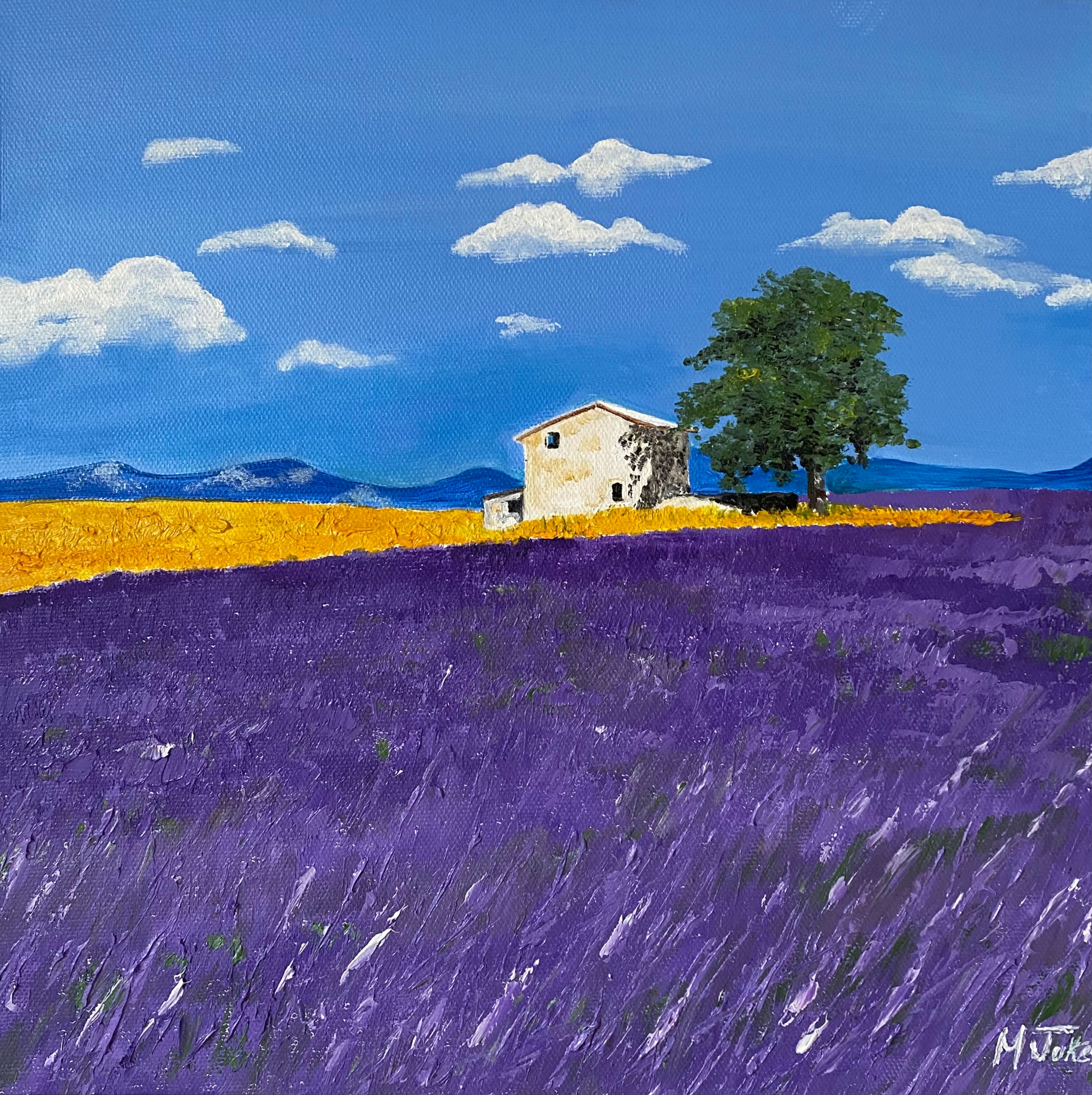 SUMMER FIELDS - FRANCE