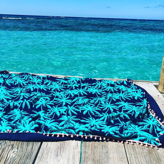 52602743_2217333641661669_59882669914906