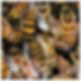 65bd33c2-529c-4e01-a2d0-f80d7149a301.png