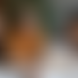 Inside CollegeEssay.org: The Trust Factor Behind Its Academic Excellence