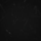 black background with rustic texture_edited.jpg
