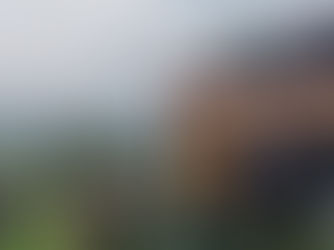 pessoas carregando caixões