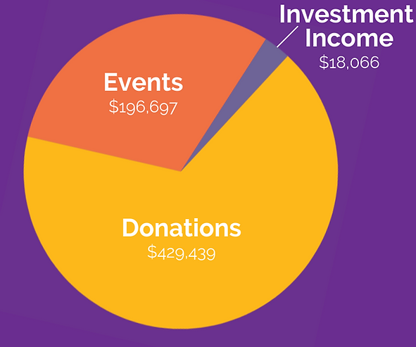revenue annual report graphic.png