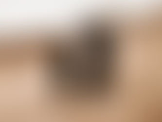 Small Town or Small City? Our Journey to Med Hat.