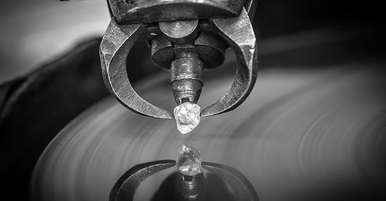 WhatsApp Image 2026-02-11 at 2.56.29 PM.jpeg