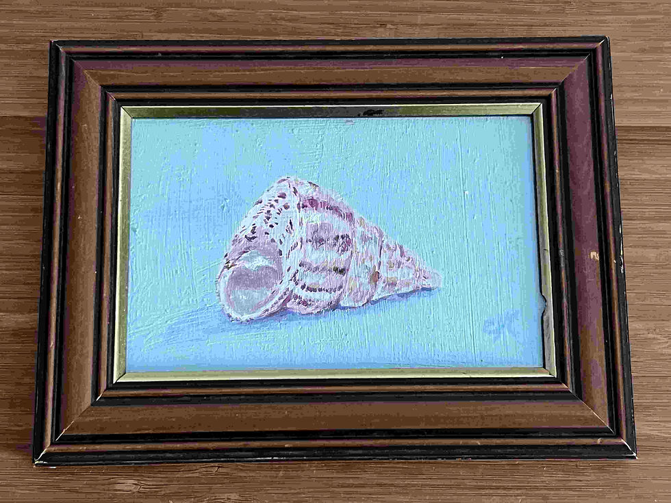 Thumbnail: Conch Shell
