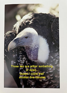 Vulture
