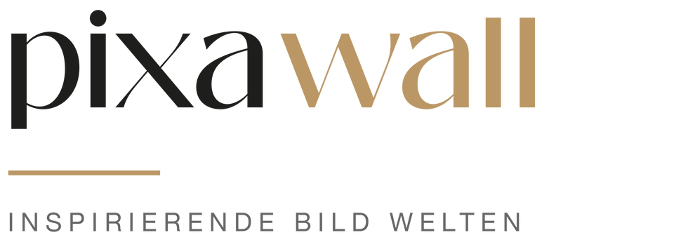 LOGO PIXAWALL 2026.png