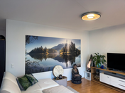 4,8 m² großes Naturpanorama