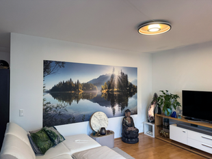4,8 m² großes Naturpanorama