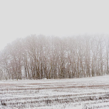 kuratiertes Foto für anywall Wanddruck