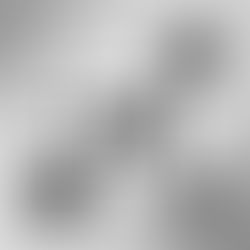 Feature Highlight: API Integration