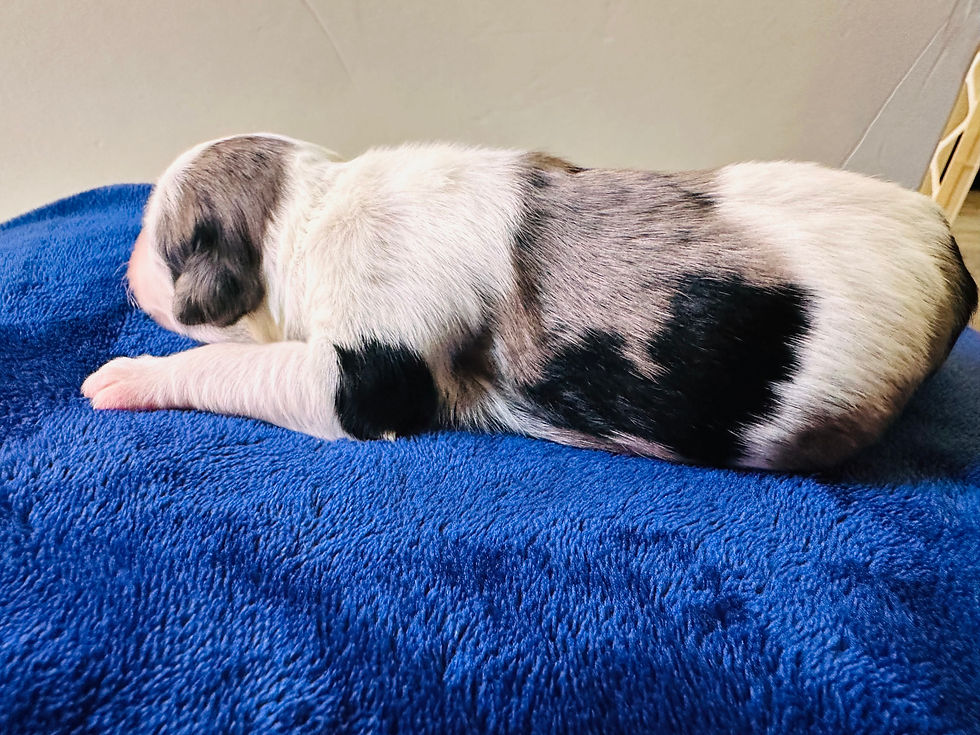 sending all the love!