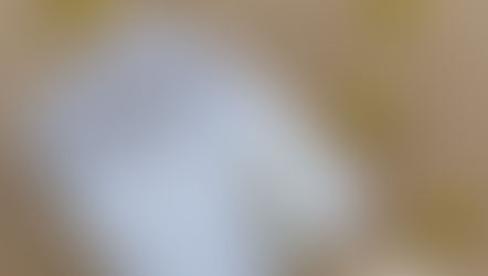 Envelope dos desejos