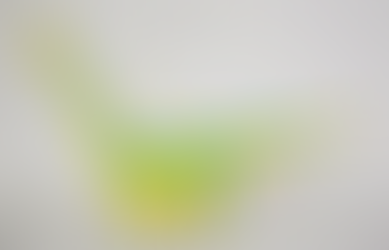 Como é o teu dinossauro II