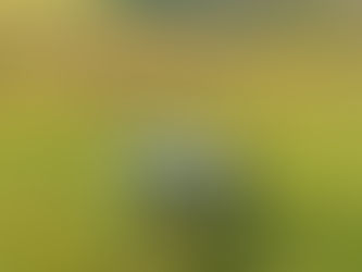 Autonomous security for solar parks, industrial facilities and critical infrastructure