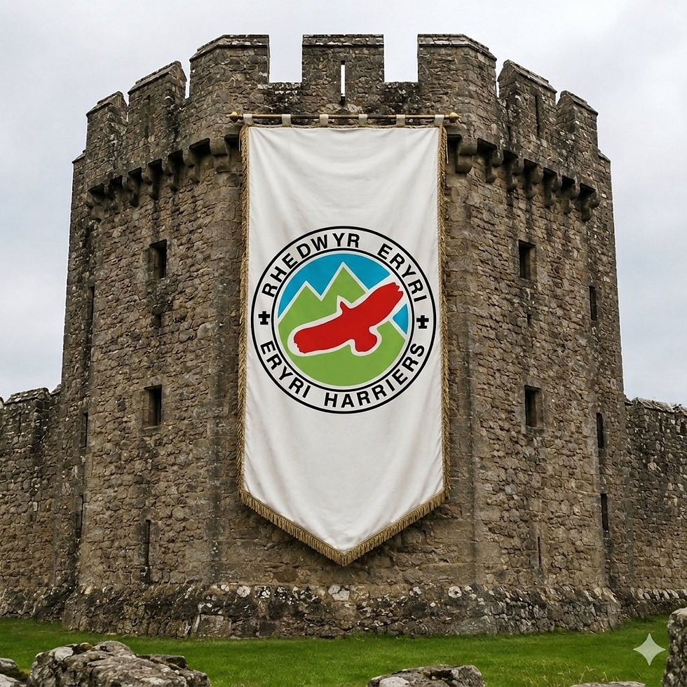 Ras Gyfnewid Cestyll Cymru /Welsh Castles Relay!