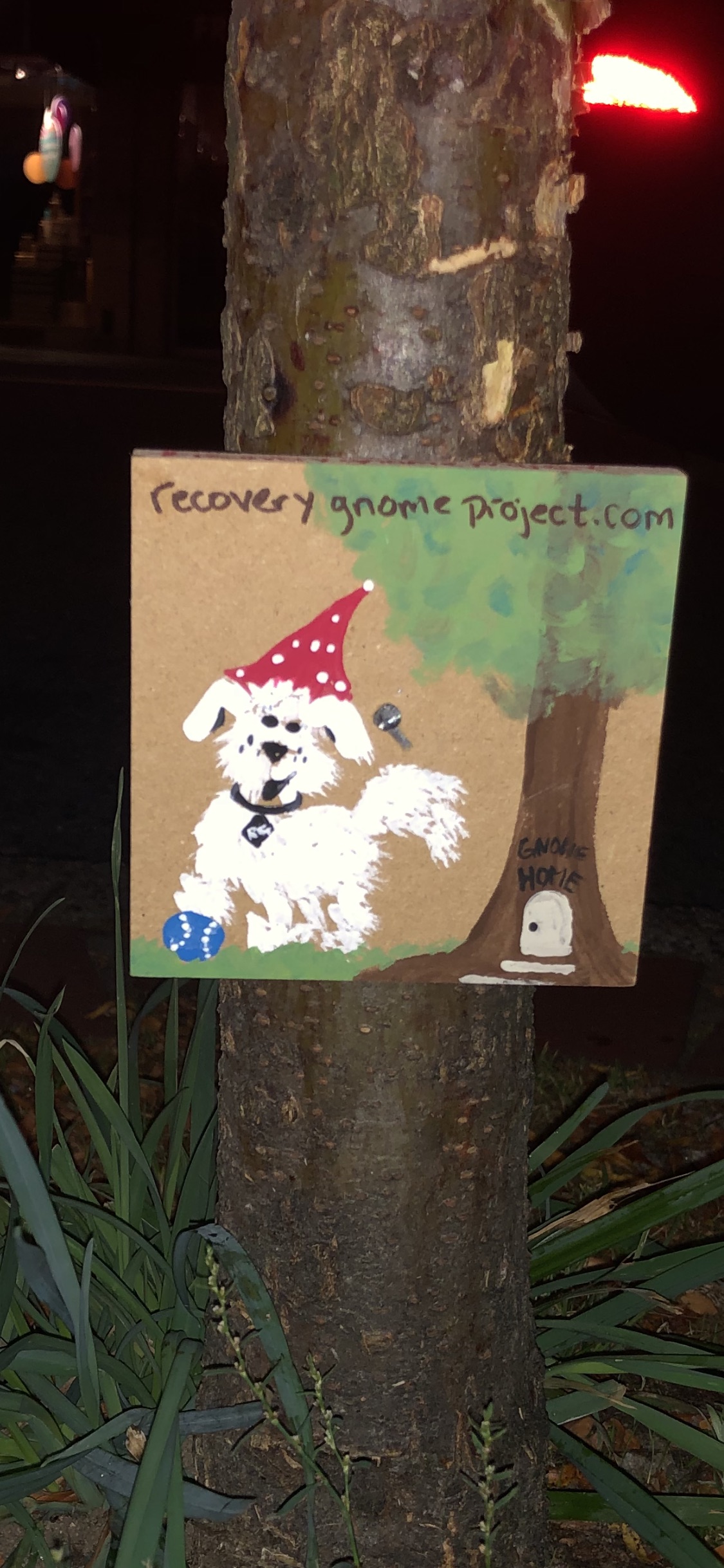 Monty Gnome