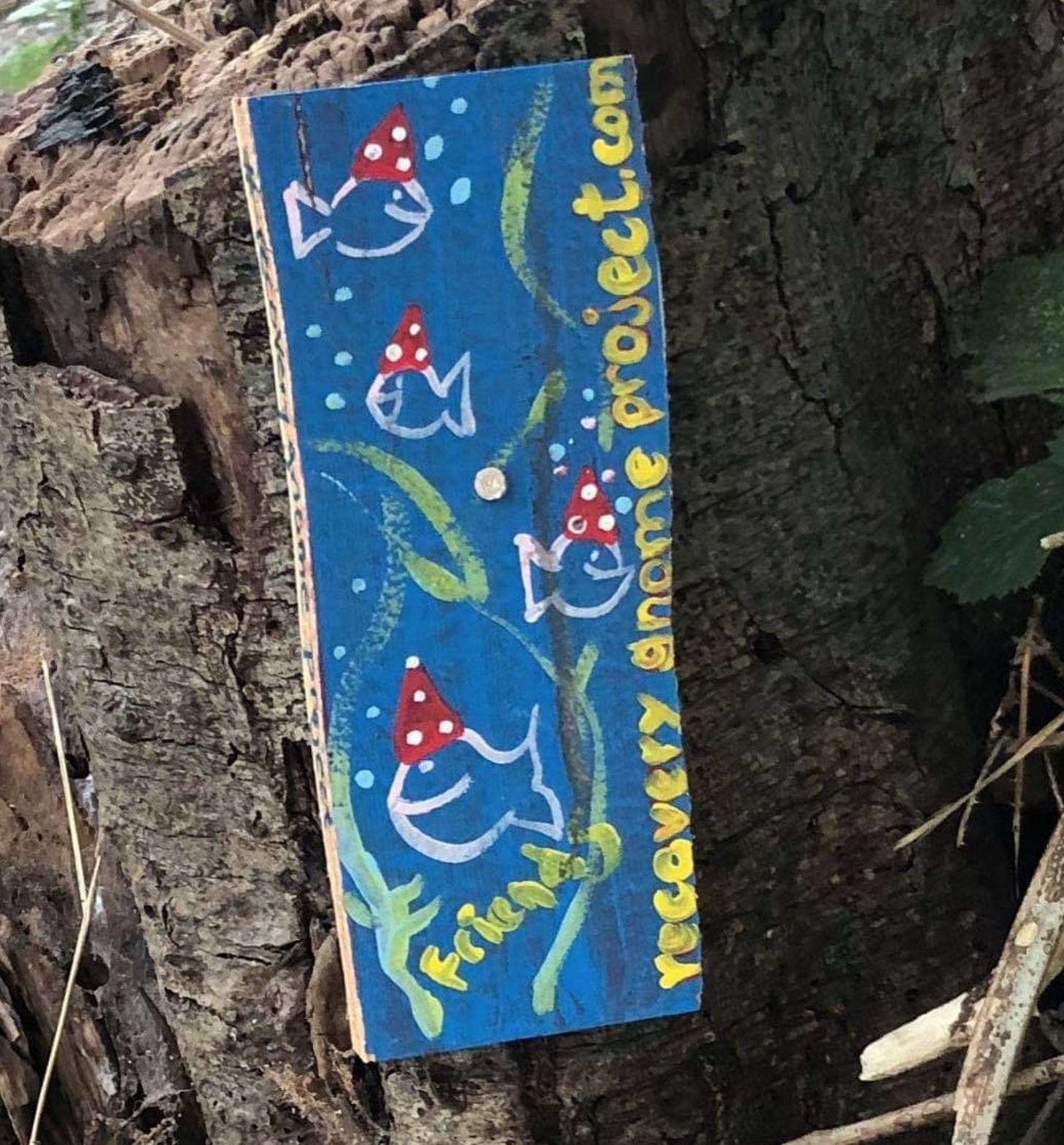 A 'school' of Recovery Gnomes