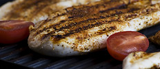 Grilled Fish Steak