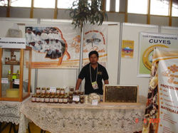 12648155_10208569989986379_807641375_n