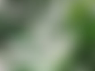 剪定、大事なんです
