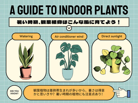 暑い時植物どうする？