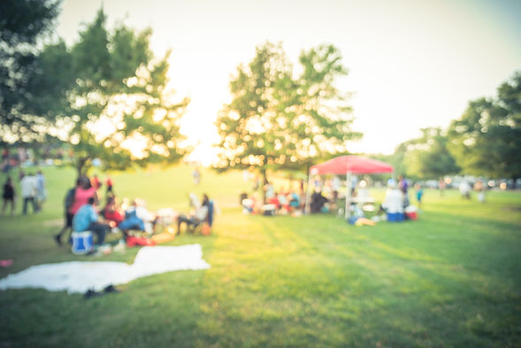 picnic shot.jpeg