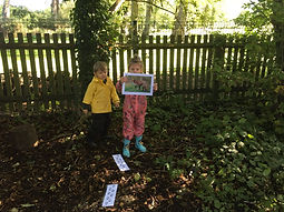 forest sept9.jpeg