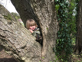 tree2 - Copy.jpeg