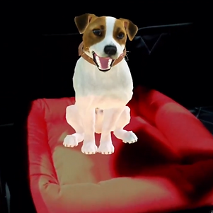 Nissan Kicks For Pets Magic Leap Advergame