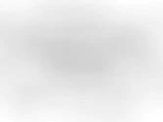 WHAT ARE THE INTERNATIONAL COMMERCIAL TERMS?