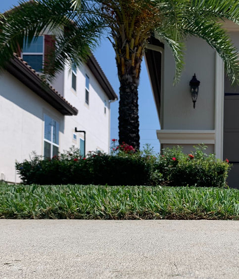 B1EF3E68-966D-4F18-A2F0-FFD48BB718DC_edi