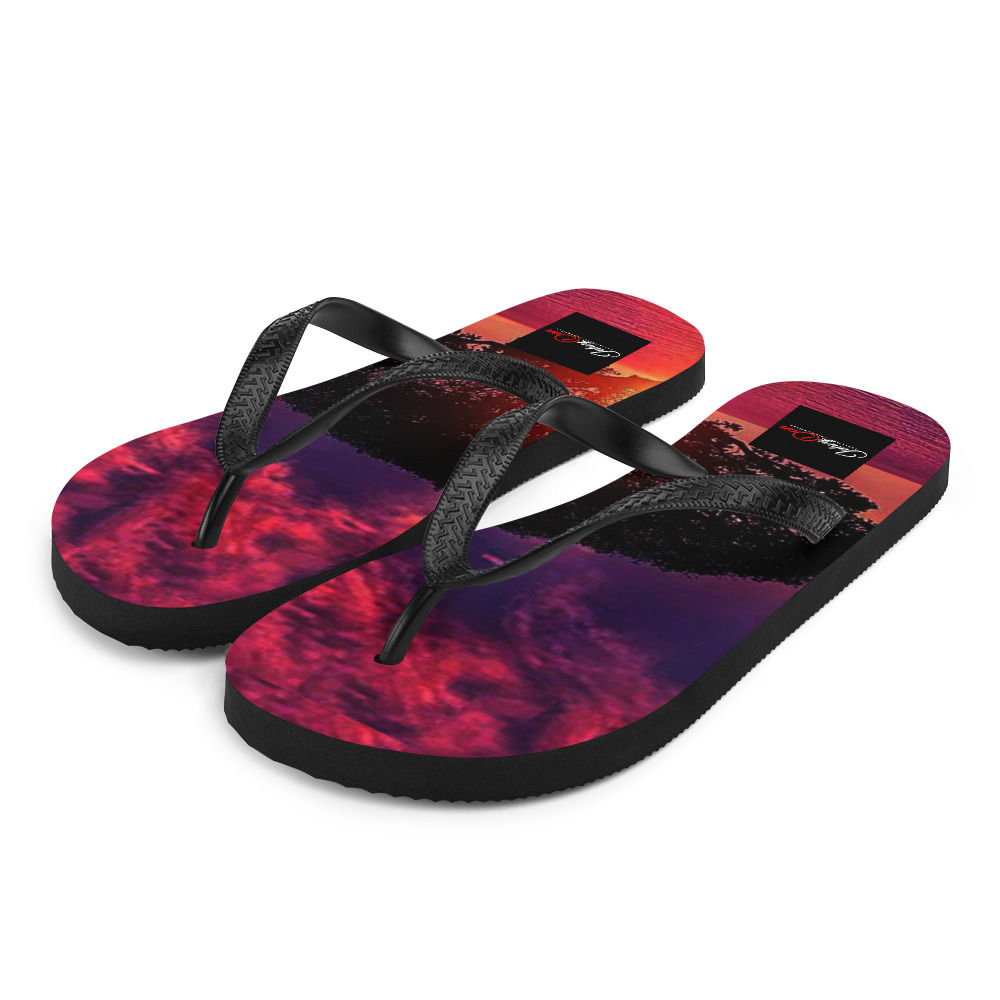 Flip-Flops