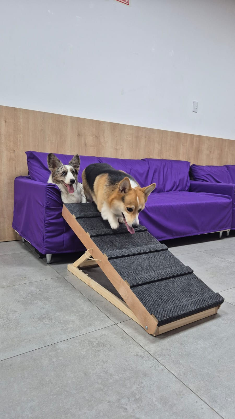 Miniatura: Rampa plegable de 04 alturas regulables