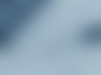 ЗАКУПКИ ПРОФЕССИОНАЛЬНЫХ УСЛУГ