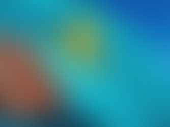 КОНСТИТУЦИЯ И ЭКОНОМИКА