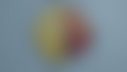 Диверсификация: ложная цель и ее последствия