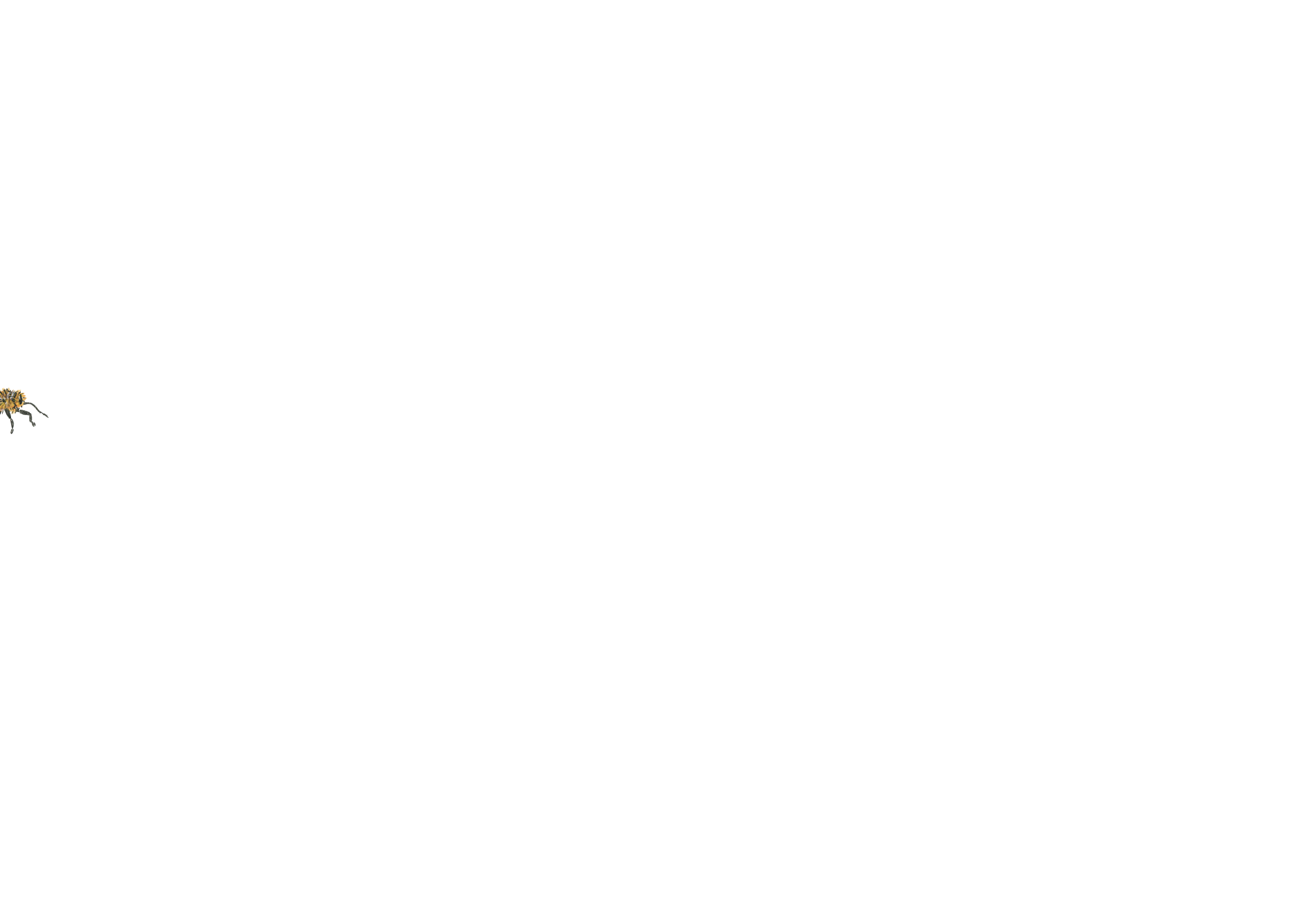 Bee-working-gif-loop-the-loop.gif