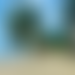 Synapse Festival in Japan