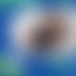 Molly Maine speaking at Colive Fukuoka 2024, sharing her experiences as a digital nomad and freelance illustrator with an engaged audience.